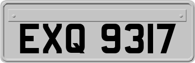 EXQ9317