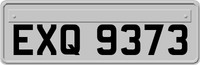EXQ9373