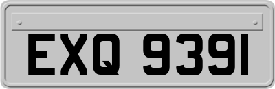 EXQ9391