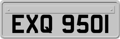 EXQ9501