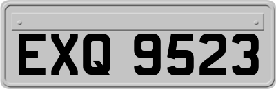 EXQ9523
