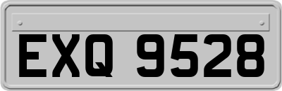 EXQ9528