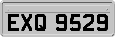 EXQ9529