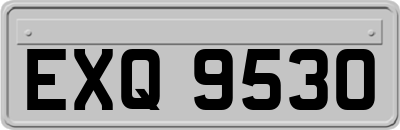 EXQ9530