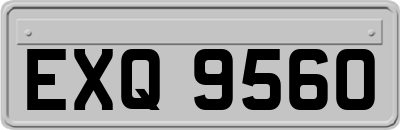 EXQ9560