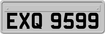 EXQ9599