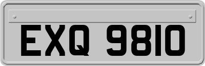EXQ9810