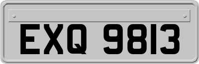 EXQ9813