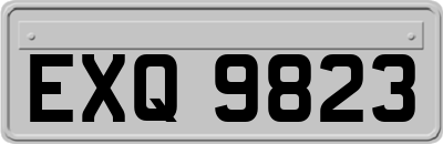 EXQ9823