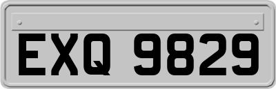 EXQ9829