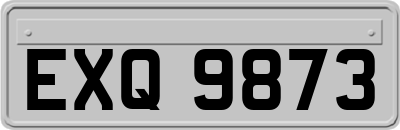 EXQ9873