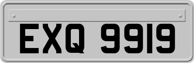 EXQ9919