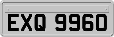 EXQ9960