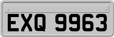EXQ9963