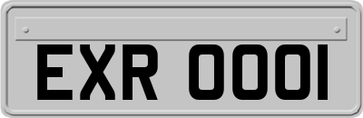 EXR0001
