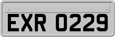 EXR0229