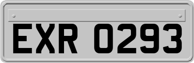 EXR0293