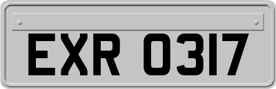 EXR0317