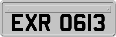 EXR0613