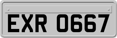 EXR0667