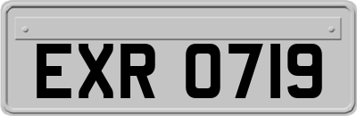 EXR0719