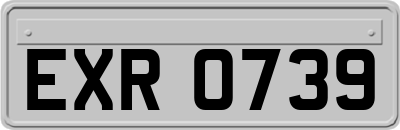 EXR0739