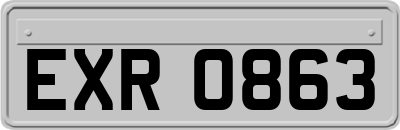 EXR0863