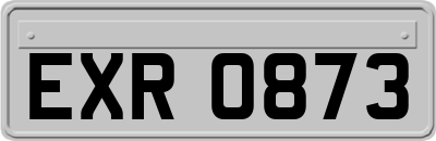 EXR0873