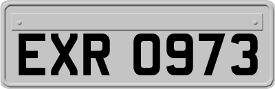 EXR0973