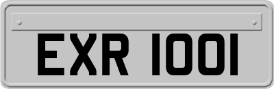EXR1001