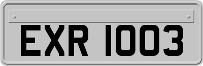 EXR1003