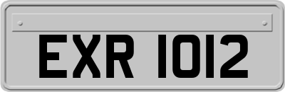 EXR1012