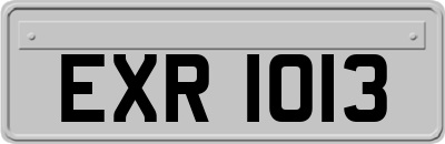 EXR1013