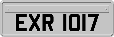 EXR1017