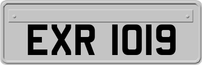 EXR1019