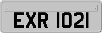 EXR1021
