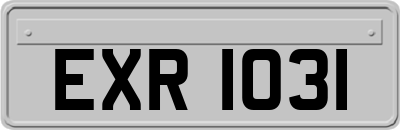 EXR1031