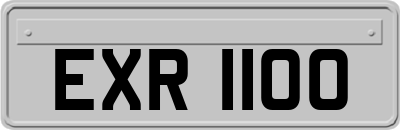 EXR1100