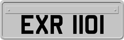 EXR1101