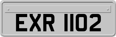 EXR1102