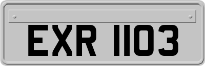EXR1103