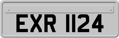 EXR1124