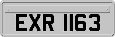 EXR1163