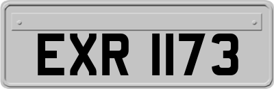 EXR1173