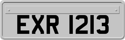 EXR1213