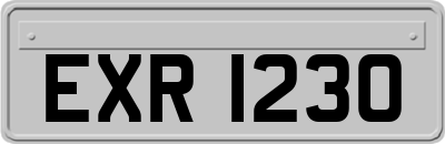 EXR1230