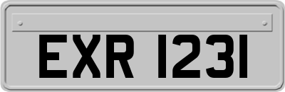 EXR1231