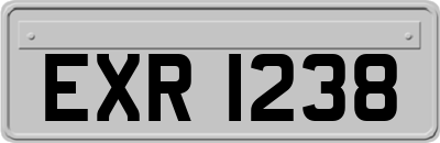 EXR1238