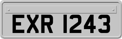 EXR1243