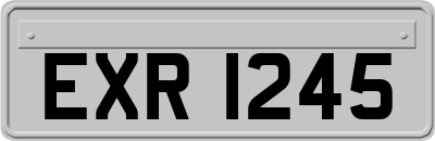 EXR1245